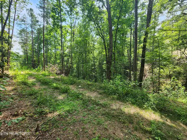 Sevierville, TN 37876,Lot 30 Birch Dr