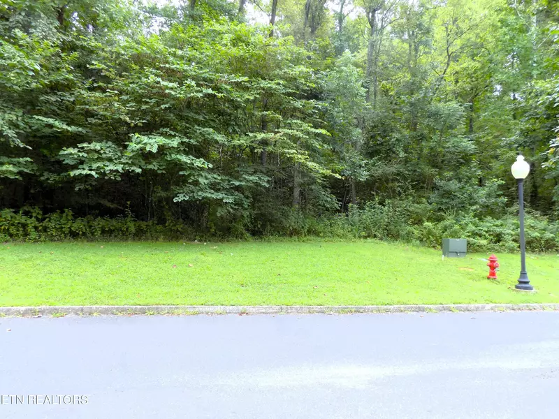 Lot 11 Meadowood Road, Newport, TN 37821