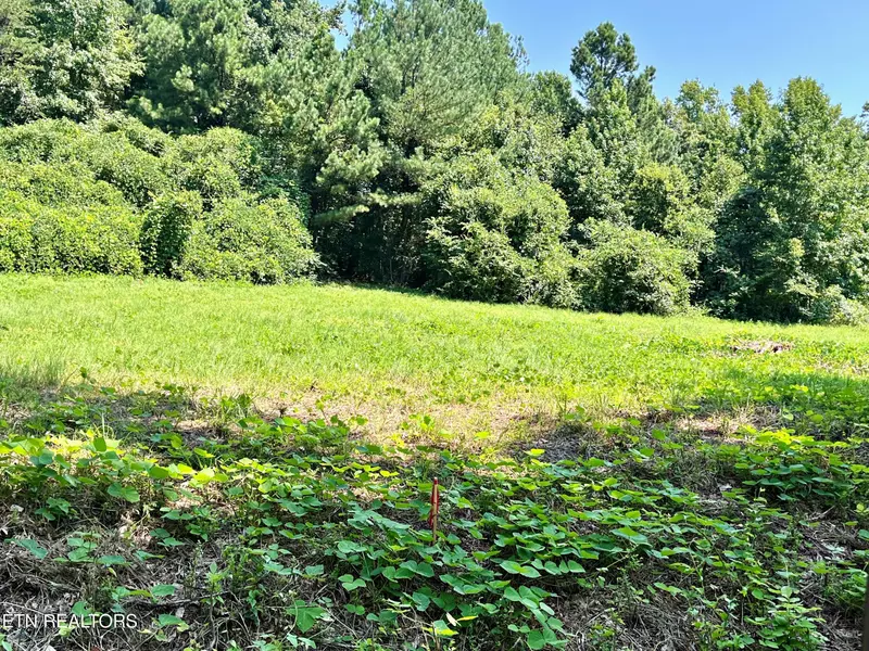 Lot 3 Oak Grove Road, Decatur, TN 37322