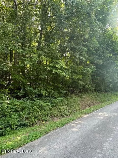 Riceville, TN 37370,00 County Road 2