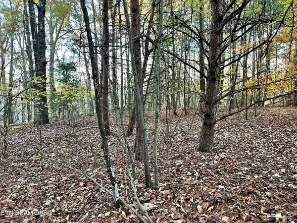 Decatur, TN 37322,Lot 5 Oak Grove Road