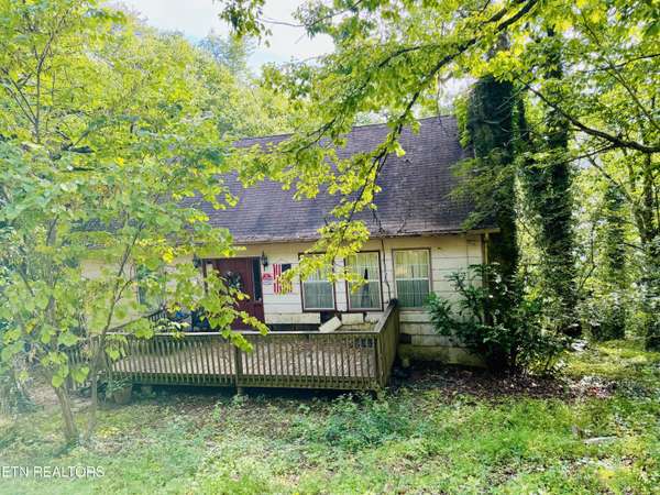 738 CAPE NORRIS Rd,  New Tazewell,  TN 37825