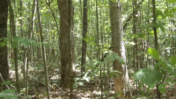 Moss, TN 38575,75.54ac Denton Rd