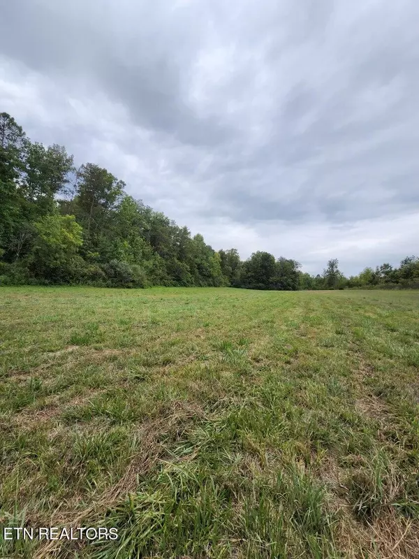 Tellico Plains, TN 37385,125 Shadden Rd