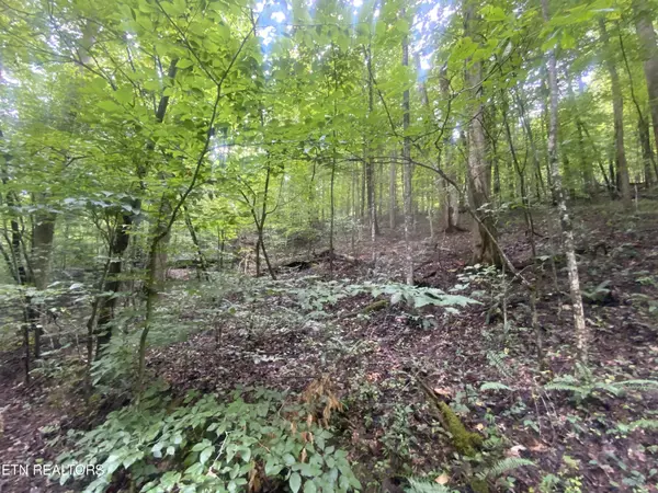 Jacksboro, TN 37757,Lot 63 Hiwassee View DR