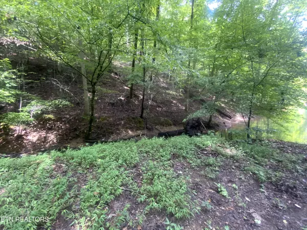 Jacksboro, TN 37757,Lot 63 Hiwassee View DR