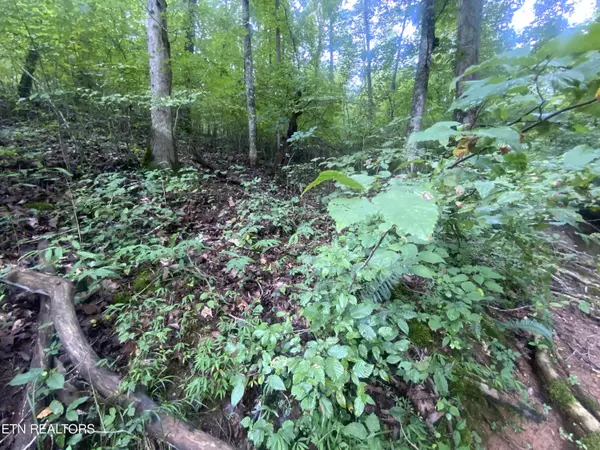 Jacksboro, TN 37757,Lot 64 Hiwassee View DR