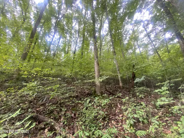 Jacksboro, TN 37757,Lot 64 Hiwassee View DR