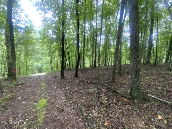 Jacksboro, TN 37757,Lot 121 Hiwassee View DR