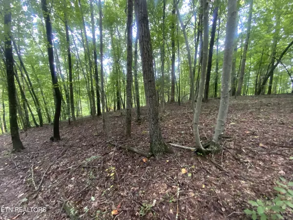 Lot 121 Hiwassee View DR, Jacksboro, TN 37757