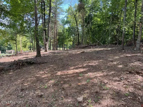 Lafollette, TN 37766,Lot #13 Demory Rd