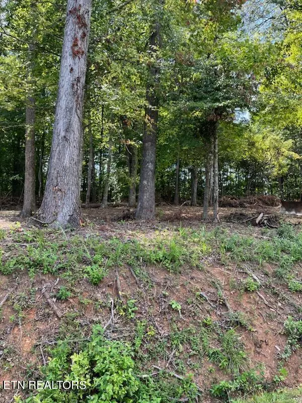 Lafollette, TN 37766,Lot #15 Demory Rd