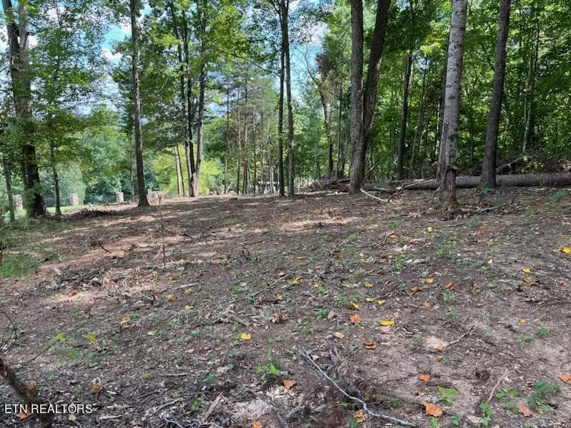 Lafollette, TN 37766,Lot #15 Demory Rd