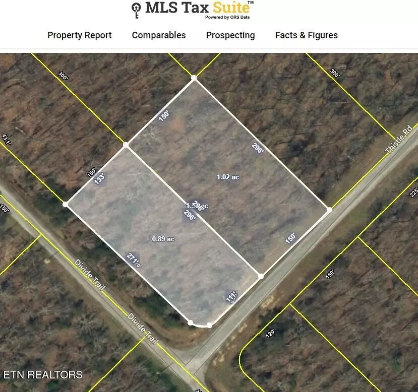 Monterey, TN 38574,Thistle Rd. Lot 2 & 3