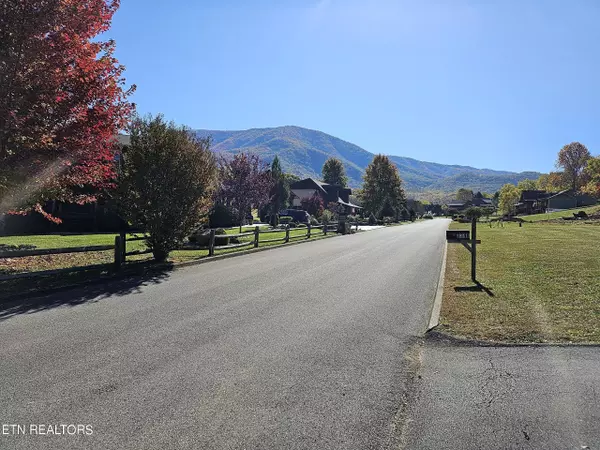 Sevierville, TN 37862,Lot 11 Cove Meadows DR