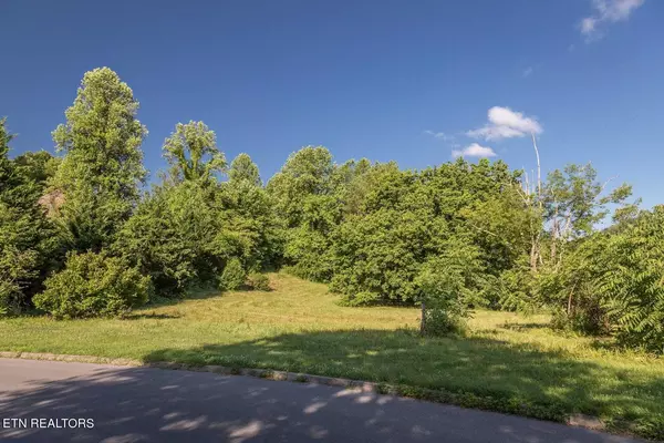 Lot 11 Cove Meadows DR, Sevierville, TN 37862