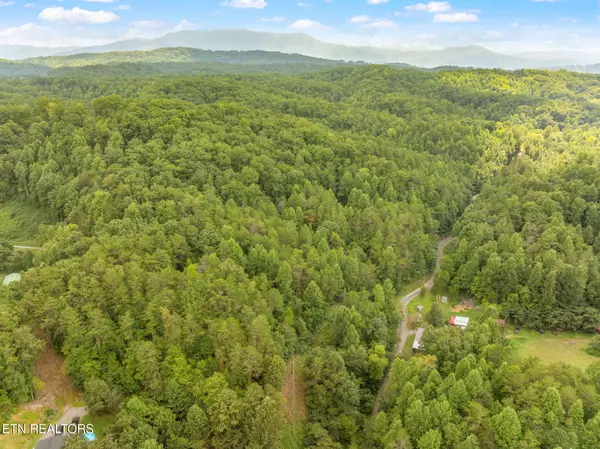 Sevierville, TN 37876,Lot 1 Gnatty Branch Road