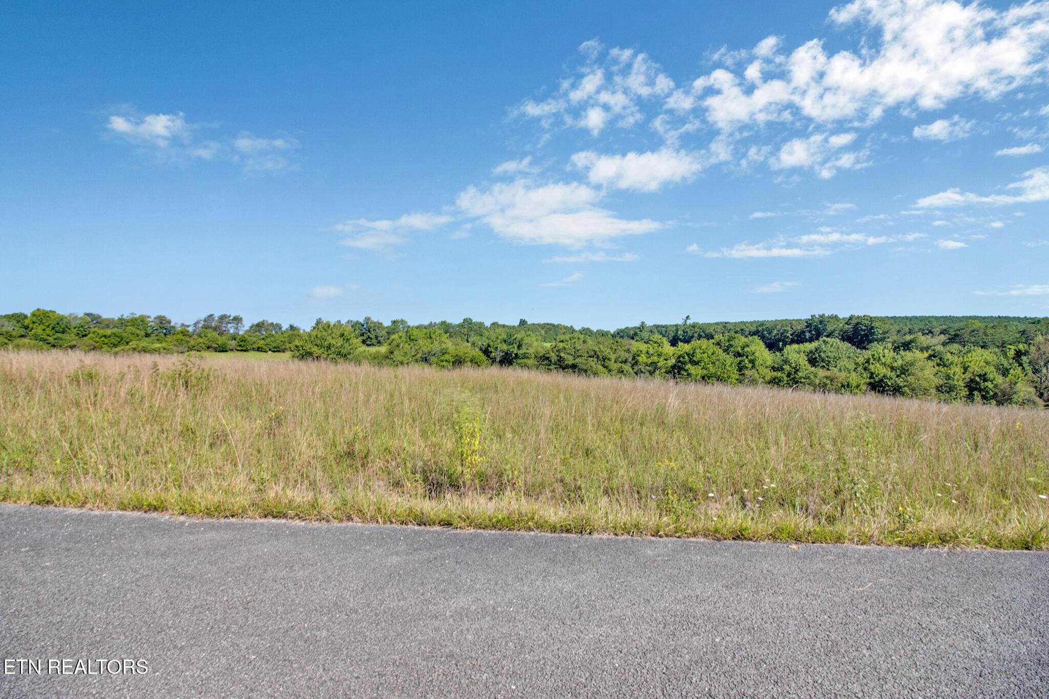 Crossville, TN 38555,Lot 40 Estate LN