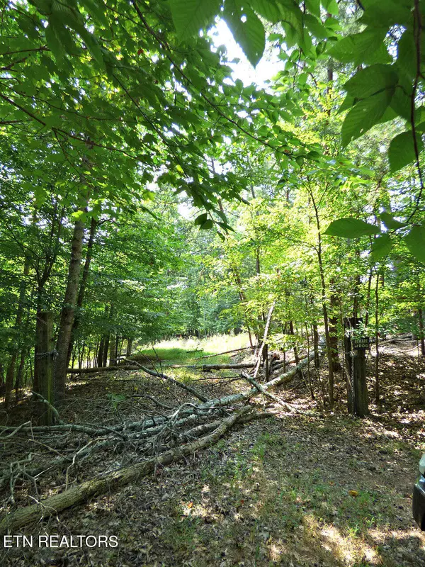 Dandridge, TN 37725,Lot R-48 Cherry Brook DR