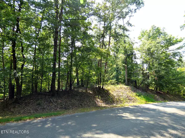 Lot R-48 Cherry Brook DR, Dandridge, TN 37725