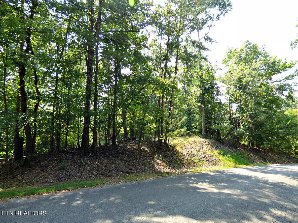 Dandridge, TN 37725,Lot R-48 Cherry Brook DR