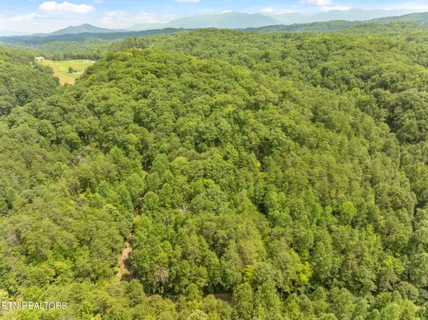 Sevierville, TN 37876,Lot 4 Gnatty Branch Rd