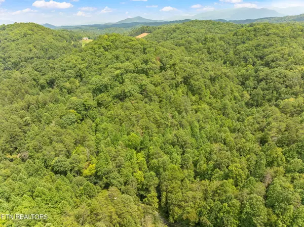 Sevierville, TN 37876,Lot 4 Gnatty Branch Rd