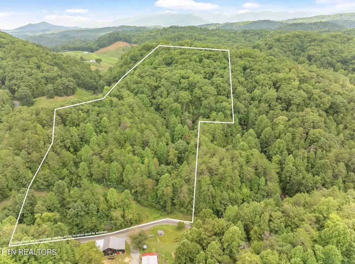 Sevierville, TN 37876,Lot 5 Gnatty Branch Rd