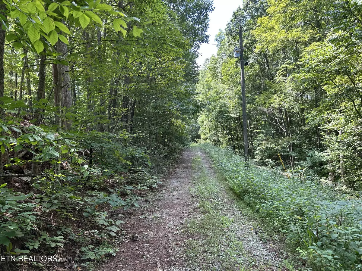 Maynardville, TN 37807,Pearl Ln Lot 25 LN