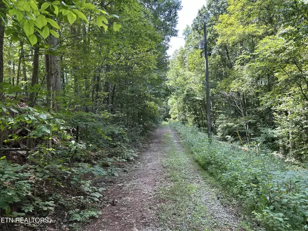 Pearl Ln Lot 25 LN, Maynardville, TN 37807