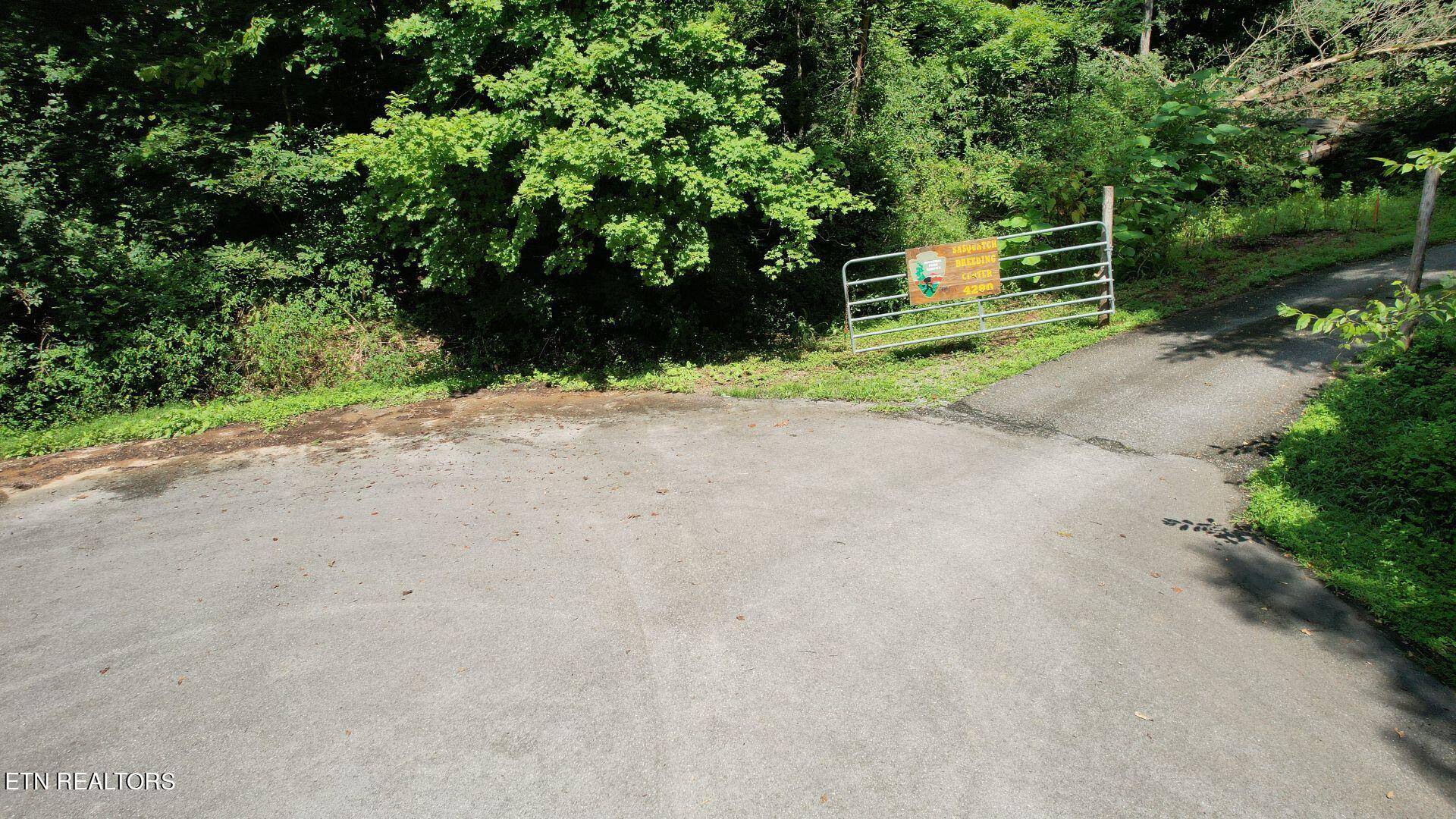 Kodak, TN 37764,Russell DR