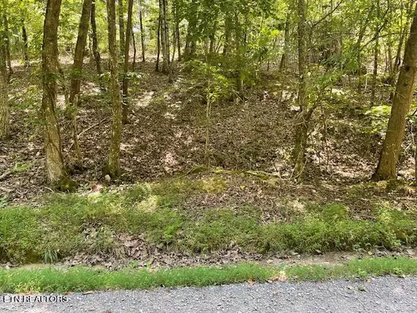 Spring City, TN 37381,Lot 255 Maple DR