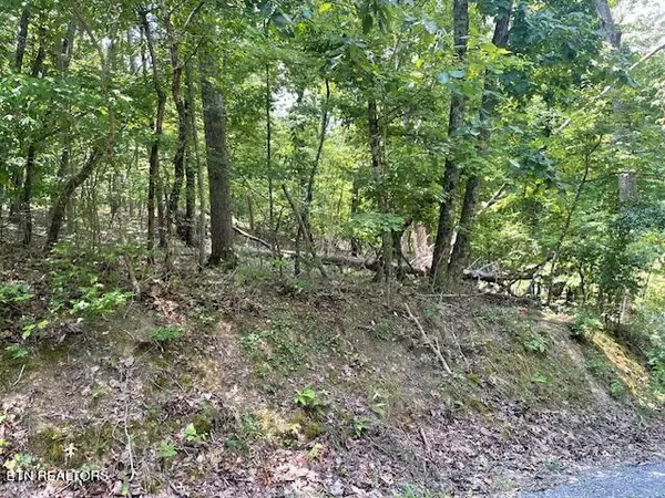 Spring City, TN 37381,Lot 255 Maple DR