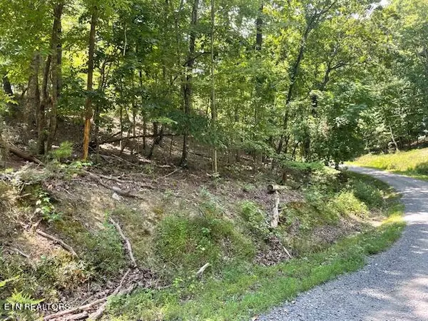 Spring City, TN 37381,Lot 255 Maple DR