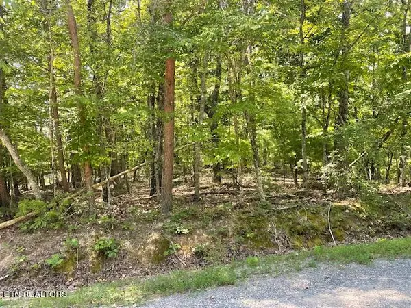 Spring City, TN 37381,Lot 255 Maple DR