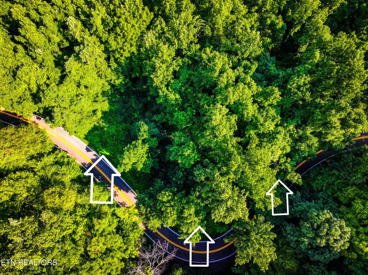 Cosby, TN 37722,Emilyville WAY