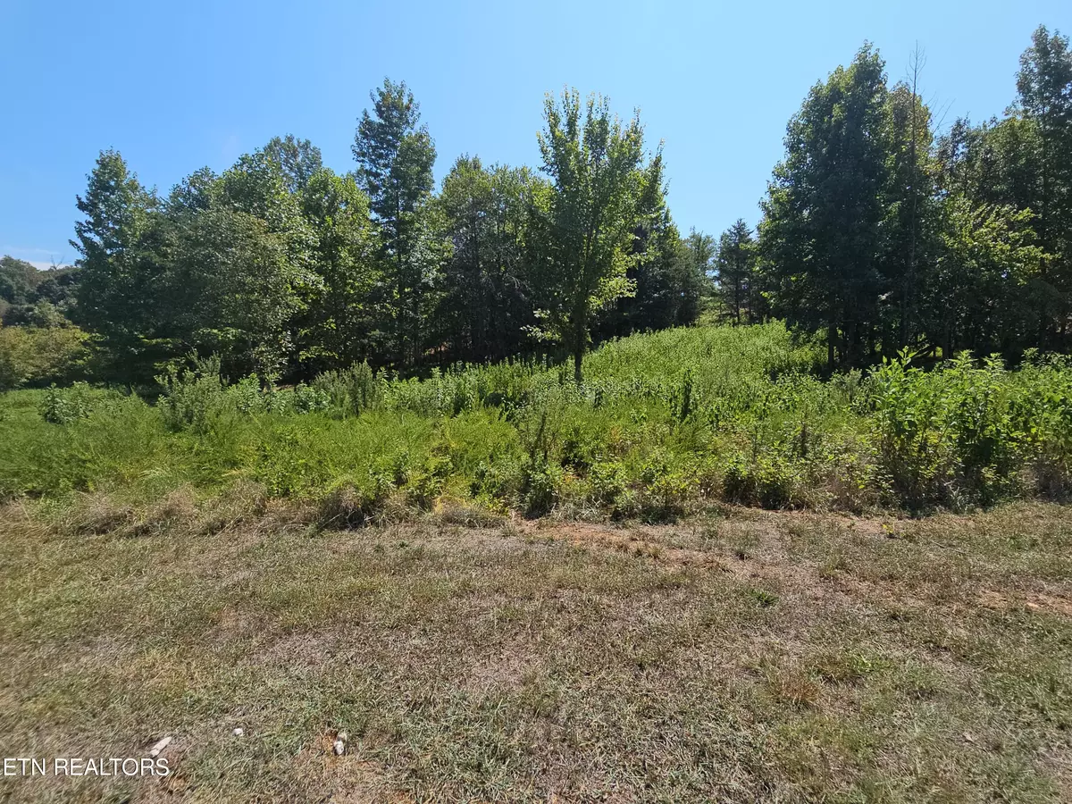 Harriman, TN 37748,Meadow LN