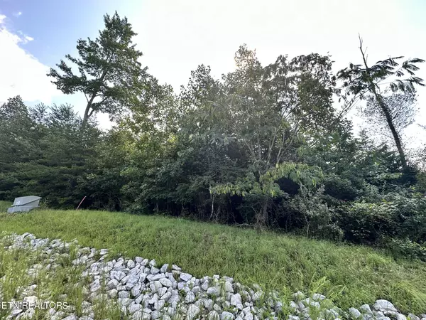 Lafollette, TN 37766,Lot 447 The Villages II