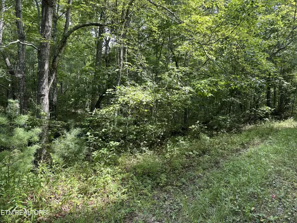 Deer Lodge, TN 37726,Anthony Rd