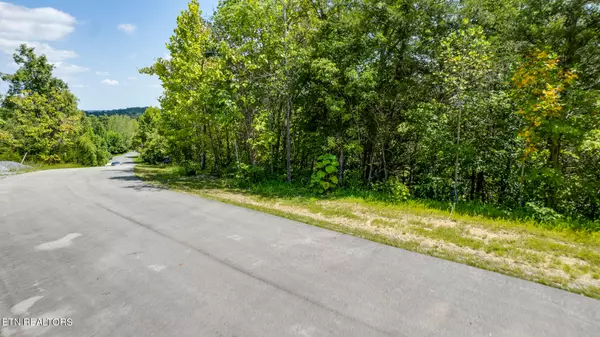 Sevierville, TN 37876,lot 35 Emerald Pointe Blvd