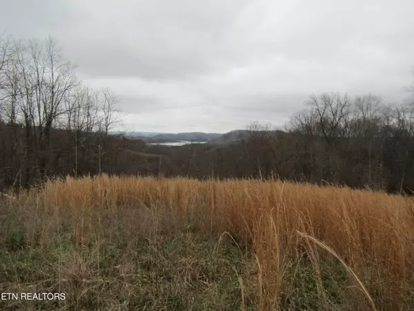 Hilham, TN 38568,Lot 58A1 Goose Rd