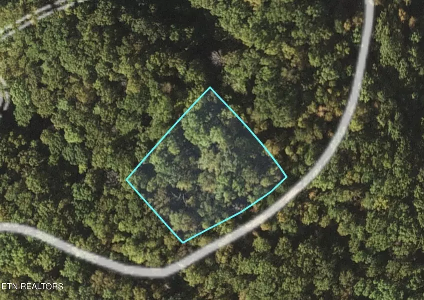 Lot 157 Deerfoot Rd, Cosby, TN 37722