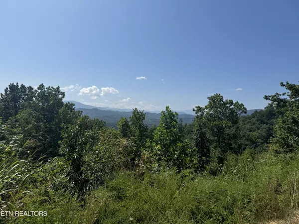 Sevierville, TN 37876,Summit Trails DR