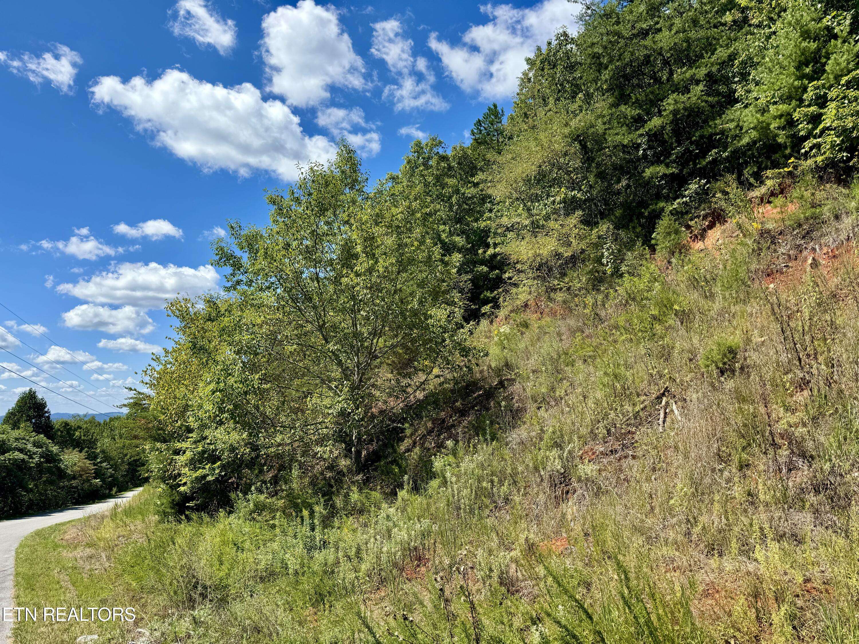 Tazewell, TN 37879,CHIMNEY ROCK Rd