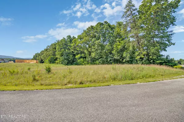 Crossville, TN 38555,Lot 81 Estate Loop Tr