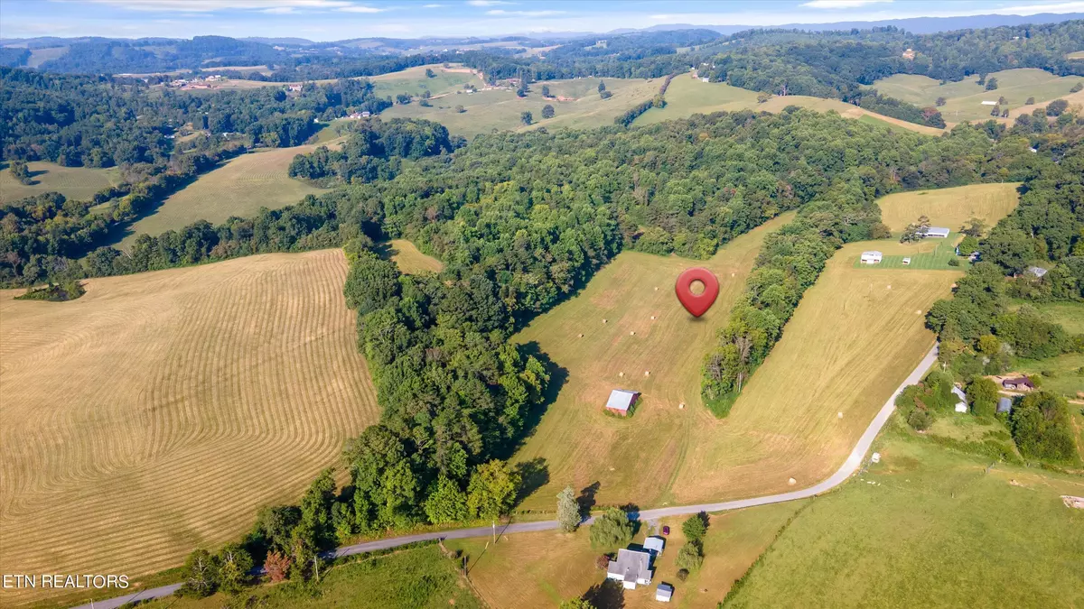 Rutledge, TN 37861,Lot 2 Narrow Valley Road