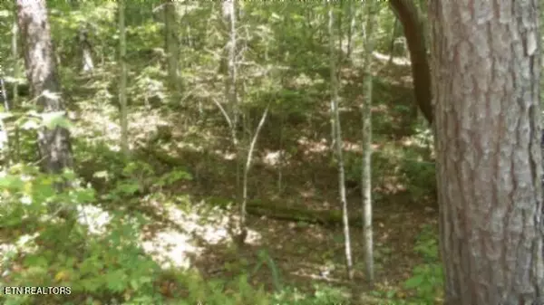 Crawford, TN 38554,2918 Wilder Highway