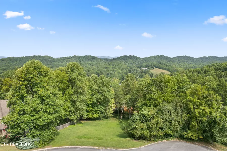 Blossom LN, Clinton, TN 37716