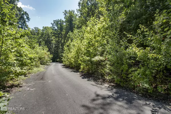 Niota, TN 37826,Lot 166 County Road 316