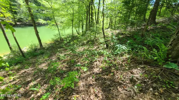 Lafollette, TN 37766,Lot 117B Claiborne Rd